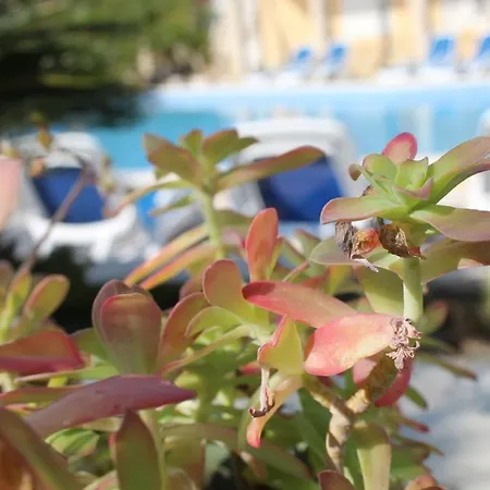 - Hidden Gem Korčula